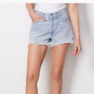 AGOLDE Parker Shorts (Swapmeet)